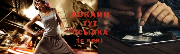 индика Медногорск