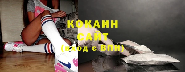 индика Медногорск