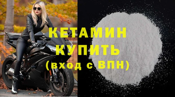 индика Медногорск