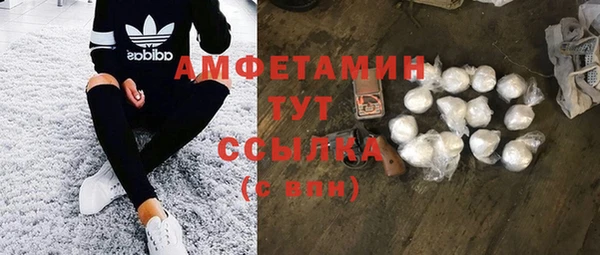 индика Медногорск